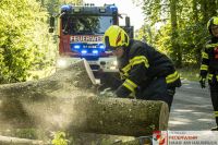 _2026-06-04 Baum über Strasse B141 Pramwald-1674